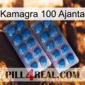 Kamagra 100 Ajanta viagra2